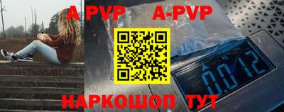 спиды Кингисепп