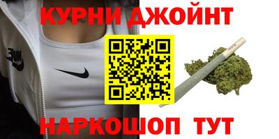 спиды Кингисепп