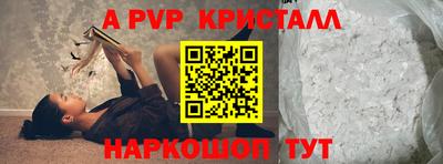 спиды Кингисепп