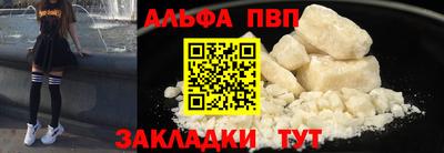 спиды Кингисепп