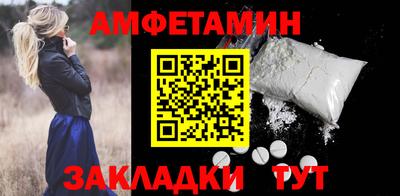 спиды Кингисепп