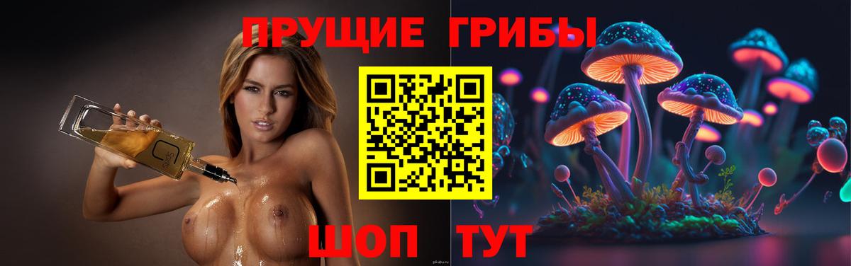 Галлюциногенные грибы Psilocybine cubensis  Вход с VPN  Галлюциногенные грибы ЛСД  Красноярск 